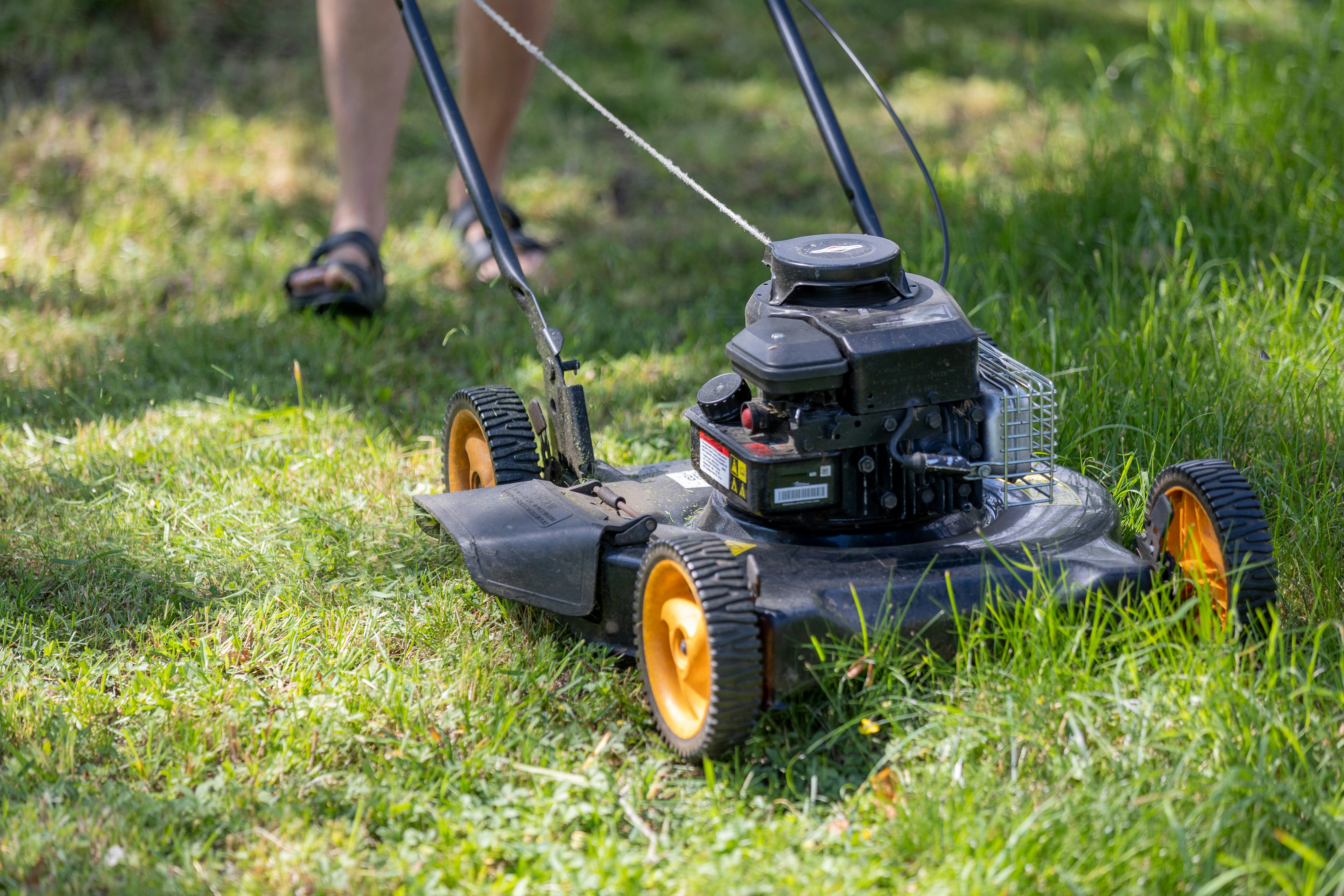 Yard cleanup work on a Long Island property.